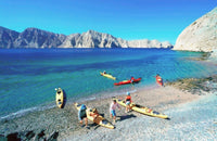 Musandam Sea Safari Tour
