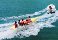 Musandam Sea Safari Tour