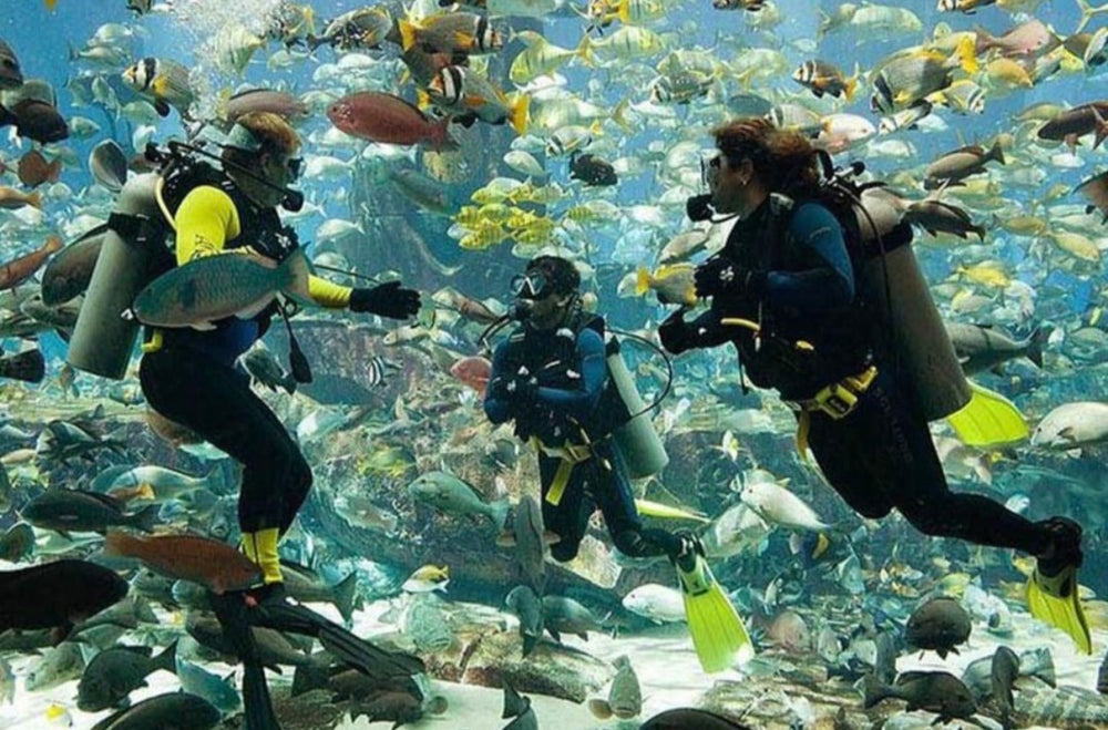 Scuba Diving at Jumeirah Beach – No Experience Needed