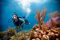 Scuba Diving at Jumeirah Beach – No Experience Needed