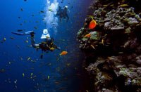 Scuba Diving at Jumeirah Beach – No Experience Needed