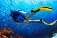 Scuba Diving at Jumeirah Beach – No Experience Needed