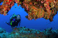Scuba Diving at Jumeirah Beach – No Experience Needed
