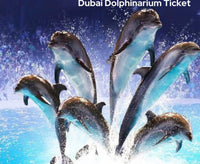 Dubai Dolphinarium Ticket