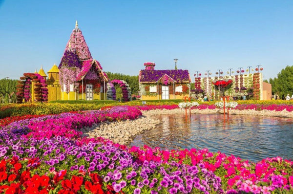 Miracle Garden, Dubai