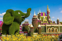 Miracle Garden, Dubai