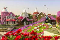 Miracle Garden, Dubai