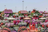 Miracle Garden, Dubai