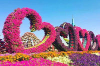 Miracle Garden, Dubai
