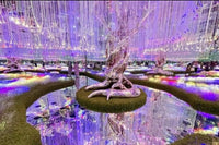 AYA Universe — Futuristic 3D Park, Dubai