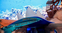 SeaWorld Marine Life Theme Park, Abu Dhabi